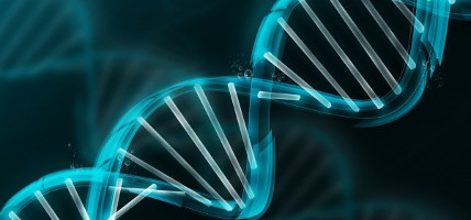 Prieštaringi vertinimai dėl DNR testo prekybos