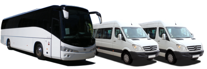 autobusais ir mikroautobusais vezame keleivius ir siuntas siuntinius krovinius gyvunus automobilius anglija olandija belgija airija vokietija